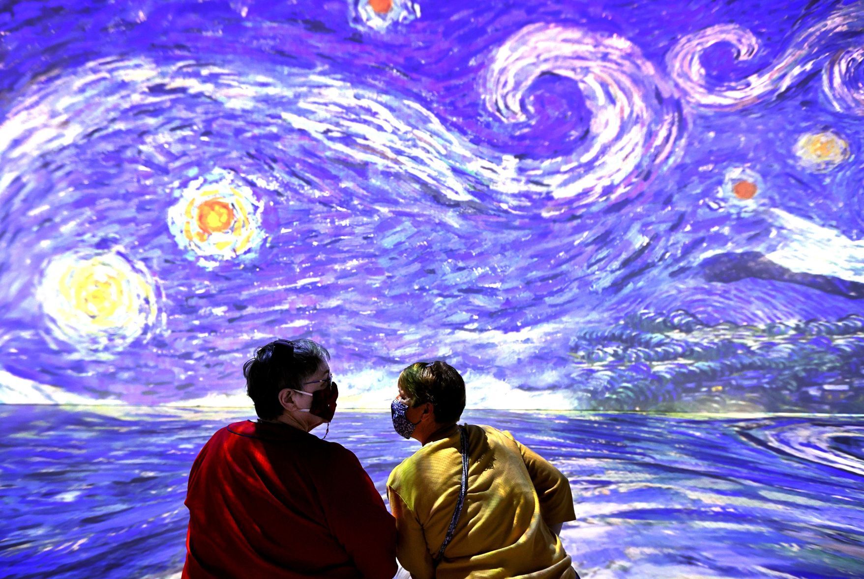 Beyond Van Gogh in St.Louis